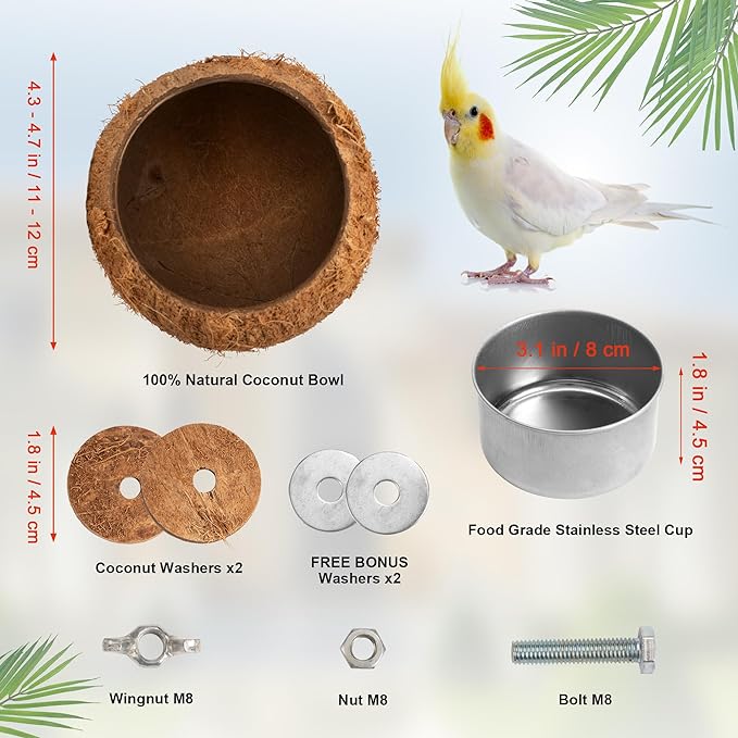 WOODSTICK Coconut Bird Feeder for Cage with Clamp - Removable Stainless Steel Bowls for Happy Birds! Hangable Bird Bowl in Cages - Perfect for Parakeets, Parrots, and Small Animals - 2-pack