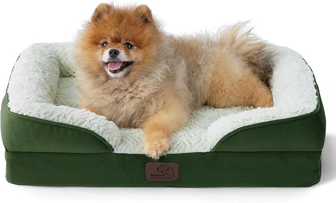 Bedsure Small Orthopedic Dog Bed - Calming Dog Sofa Beds for Small Dogs with Luxurious Short Plush, Pet Couch Bed with Removable Washable Cover, Waterproof Lining and Nonskid Bottom Couch, Green