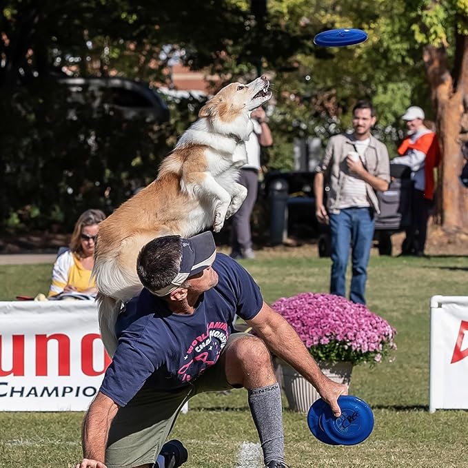 Hyperflite Pup Jawz dog flying disc • world's toughest canine competition-approved flying disc • best competition flying disc toy for pets • puncture resistant • 7 Inch • Blueberry