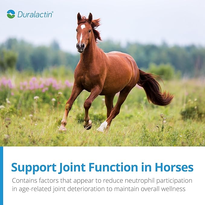 PRN Pharmacal Duralactin Equine Joint Pellets - Joint Health Supplement for Horses That Helps Maintain Healthy Cartilage, Joint Function & Manage Chronic Soreness - 1.875 lbs