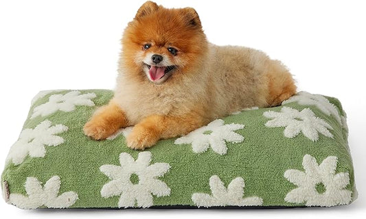 Lesure Small Dog Beds-Thick Shredded Chopped Foam Pet Bed, Dog Bed Indoor with Removable Cover, Cute Modern Fuzzy Plush & Anti Slip Bottom(24'x16', Green)