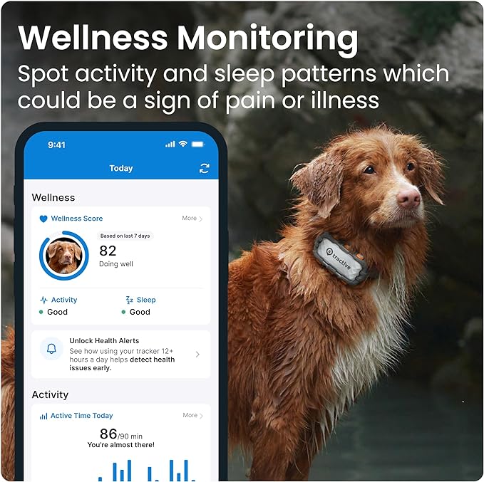 Tractive XL GPS Tracker & Health Monitoring for Dogs (50 lbs+) - Market Leading Pet GPS Location Tracker | Wellness & Escape Alerts | Waterproof | Works with Any Collar (Adventure Edition)