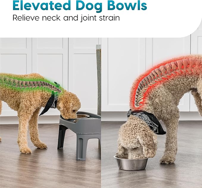 IRIS USA Elevated Dog Bowls, Adjustable Height, 2 Thick 64 oz Stainless Steel Bowls, Spill-Proof with Raised Outer Rim, Durable Made in USA Plastic, Easy Assemble, 2 Heights 4.63" or 12.25" Dark Gray