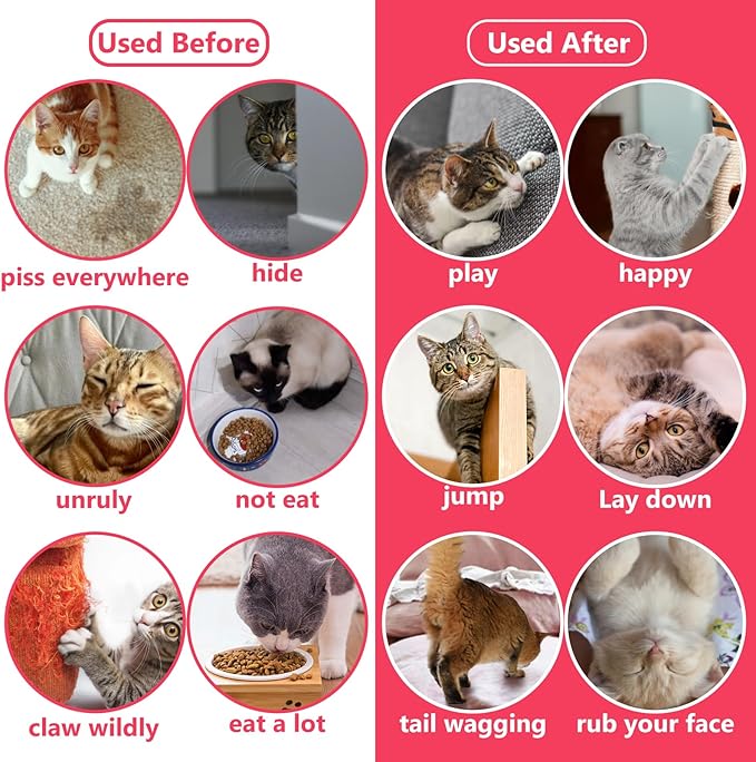 HEELE Cat Pheromone Calming Diffuser Anxiety Relief Cat Calming Diffuser 30 Days Refill Cat Pheromone Diffuser with Timing Function, Reduce Fighting and Scratching Calm Relaxing 48ml