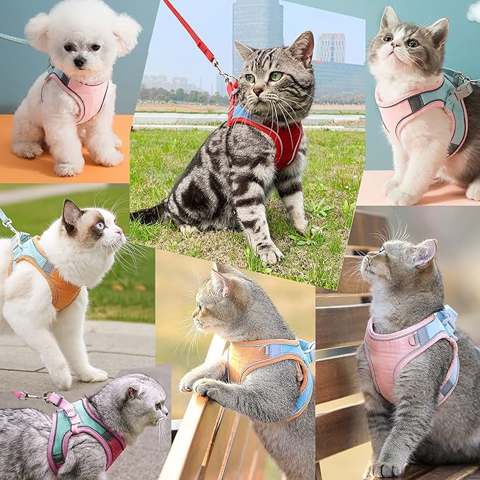 Cat Harness,Leash and Collar Set,Escape Proof Kitten Vest Harness for Walking,Easy Control Night Safe Pet Harness with Reflective Strap and Bell for Small Large Kitten,Fit for Puppy,Rabbit