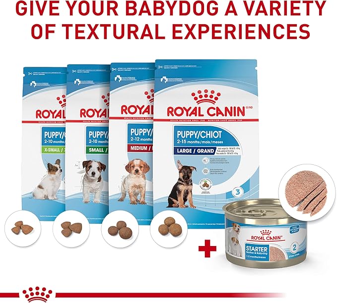 Royal Canin Size Health Nutrition Small Mother & Babydog Starter Mousse in Sauce Wet Dog Food, 5.1 oz can (24-count)