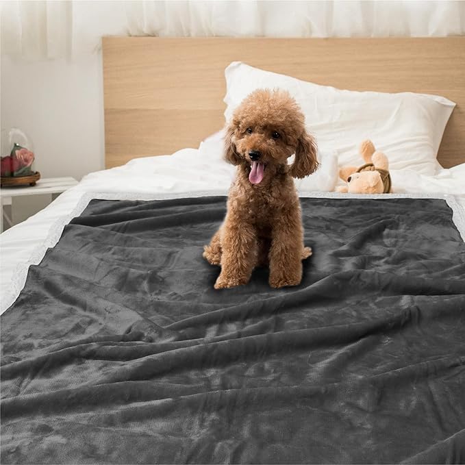 PetAmi Dog Blanket for Small Medium Dogs, Pet Bed Blanket Cat Puppy Kitten, Fleece Furniture Couch Cover Protector Sofa Car, Soft Sherpa Dog Throw Plush Reversible Washable, Mini 29x40 Dark Gray