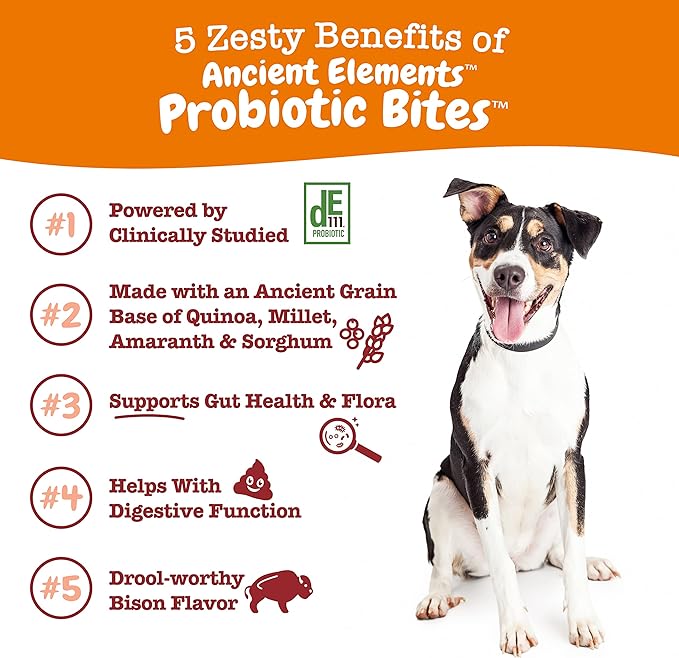 Zesty Paws Probiotics for Dogs - Digestive Enzymes for Gut Flora, Digestive Health, Diarrhea & Bowel Support - Clinically Studied DE111 - Dog Supplement Soft Chew for Pet Immune System - AE, 90 Ct