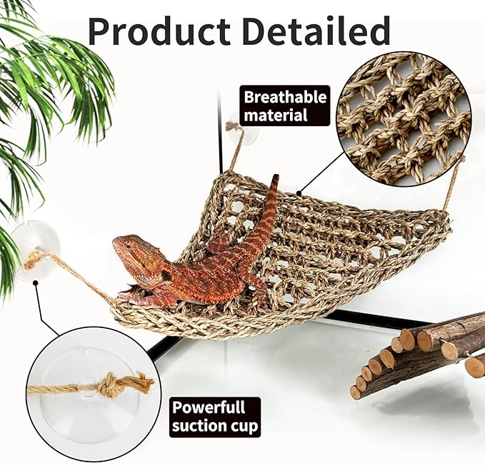 Bearded Dragon Lizard Hammock Reptile Lounger,100% Natural Seagrass Bed and Cage Terrarium Tank Accessories for Geckos,Snakes,Chameleon,Hermit Crab,Axolotl,Iguana 16.5"*11"*11"+7"*7"