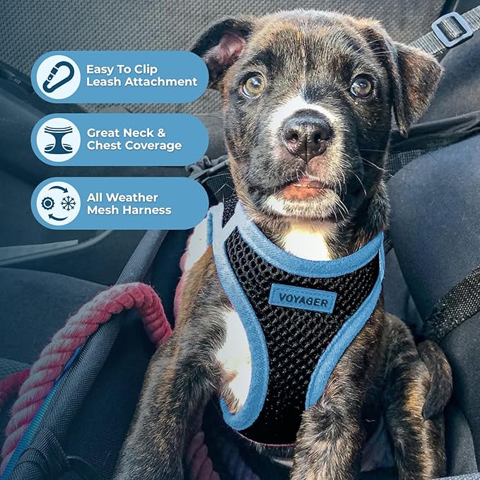 Voyager Step-in Air Dog Harness - All Weather Mesh Step in Vest Harness for Small and Medium Dogs by Best Pet Supplies - Blue Trim, L