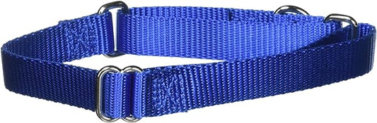 PetSafe Adjustable Martingale Collar - Only Tightens When Dogs Pull, Prevents Slipping Out - Helps with Strong Pullers, Increased Control - Alternative to Choke Collar - 3/4", Medium, Royal Blue