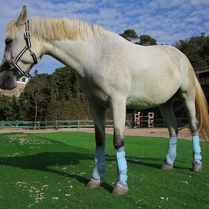 Horse Fly Boots Set of 4, Breathable Comfy Mesh Fly Boots for Horses, Non-slip Horse Fly Leggings No More Stomping & Horsefly Nuisance Lightblue Cob