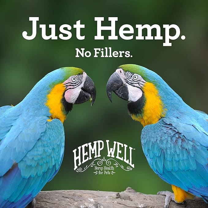 Organic Hemp Well Bird Hemp Oil – 2 Ounces. Parrot, Parakeet, Cockatiel and All Birds for Supporting Health, Feather Plucking, Destructive Behavior Reduction, Immune Support, and Relaxation.