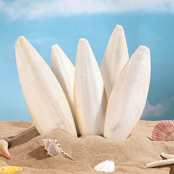 Fabbay 80 Pcs 3.54-4.33 Cuttlebone for Birds Cuttlefish Bone Bulk Parakeets Canaries Mynah Natural Cuttlebone for Reptile Tortoise Turtles Lovebirds Toucans Reptiles Snails