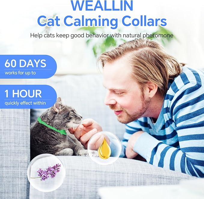 4 Pack Calming Collar for Cats Glow in The Dark, Cat Calming Collar Anti Anxiety Aggression Stress Pheromone Collar for Cats with 60 Days Long-Lasting Effect, Adjustable for Most Cat