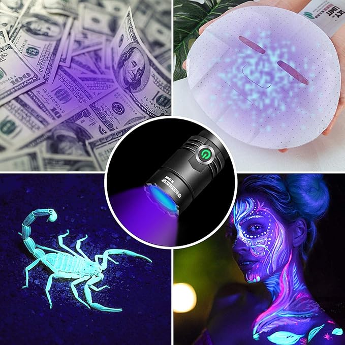 UV Flashlight, Rechargeable 395nm Black Light, Ultraviolet Flashlight Waterproof Pet Urine Detector for Dog Cat Stains, Scorpion, Bed Bug, Wardrobe Toilet(Battery Not Include)