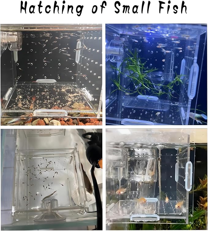 Acrylic Fish Breeding Box, Aquarium Breeding Isolation Box, Transparent Fish Breeder Box for Fish Tank, Hatchery Incubator for Shrimp Guppy Clownfish Small Fish (3.9 * 3.9 * 3.9inch)