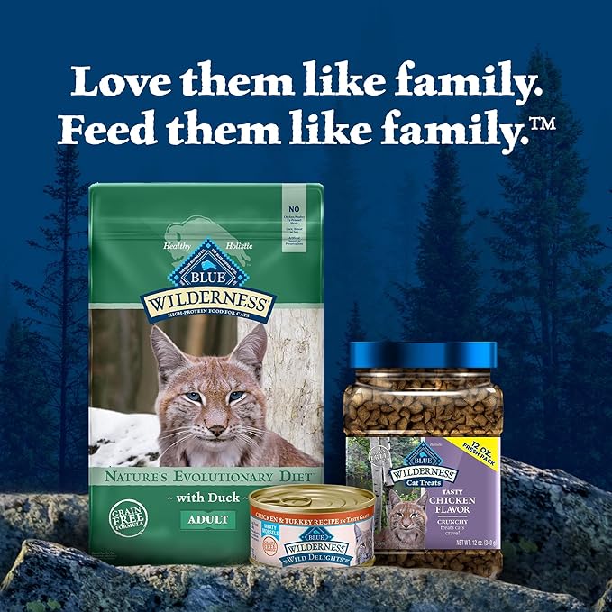 Blue Buffalo Wilderness Healthy Adult Dry Cat Food, Supports Health and Wellness, High-Protein & Grain-Free, Duck, 11-lb. Bag