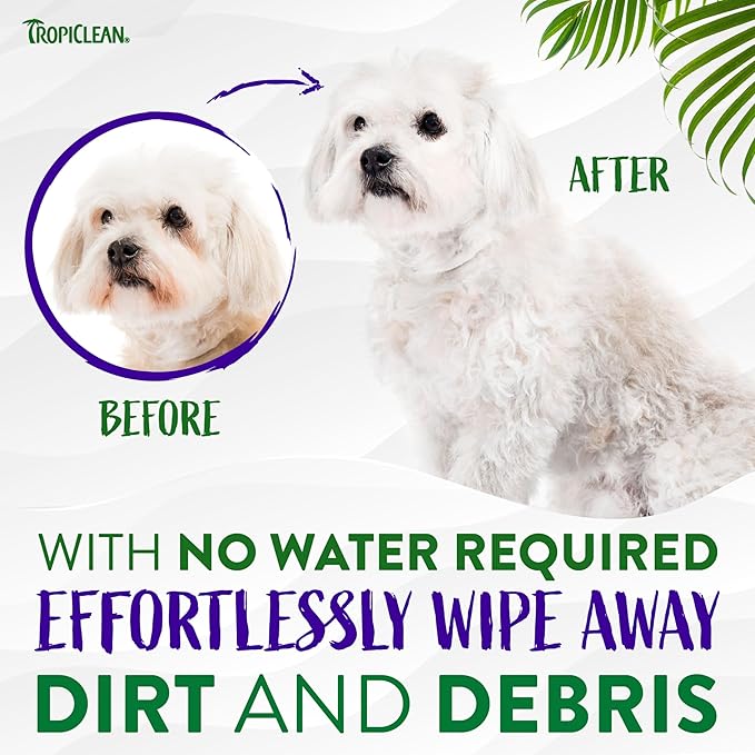 TropiClean Warm Vanilla Waterless Facial Cleanser for Dogs | Dog Foam Face Wash | Dog Face Wash Derived from Natural Ingredients | Cat Friendly | Made in the USA | 7.4 oz.