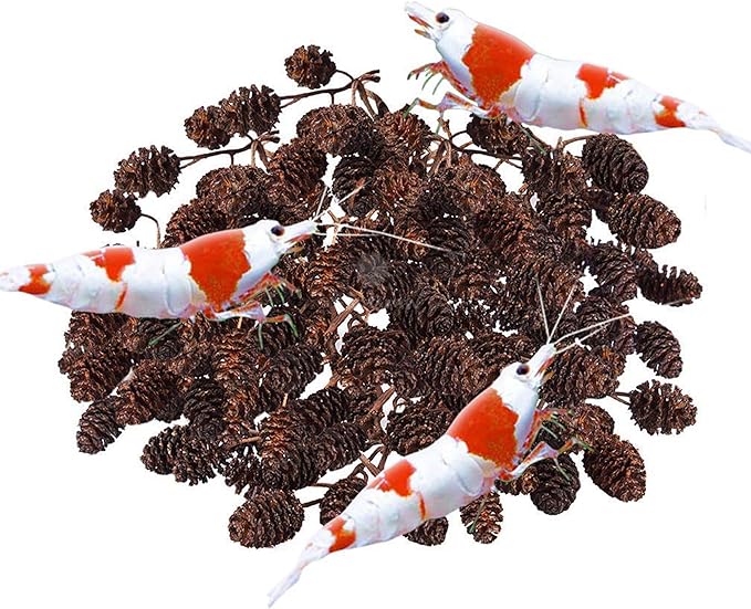 SunGrow Alder Cones for Shrimps, Water Conditioner for Freshwater Shrimp Tanks, Aquarium Decorations & Accessories, 1”, 50 Cones per Pack