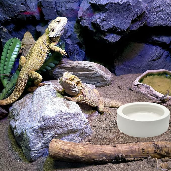 3 Pcs Reptile Food Bowl, Ceramic Water Feeder Bowl for Lizard Anoles Bearded Dragons Crested Gecko Hermit Crabs Triangular