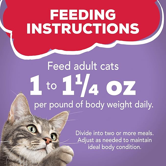 Purina Friskies Gravy Wet Cat Food, Prime Filets Turkey Dinner - (Pack of 24) 5.5 oz. Cans