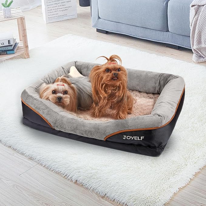 JOYELF Memory Foam Dog Bed Small Orthopedic Dog Bed & Sofa with Removable Washable Cover and Squeaker Toy as Gift