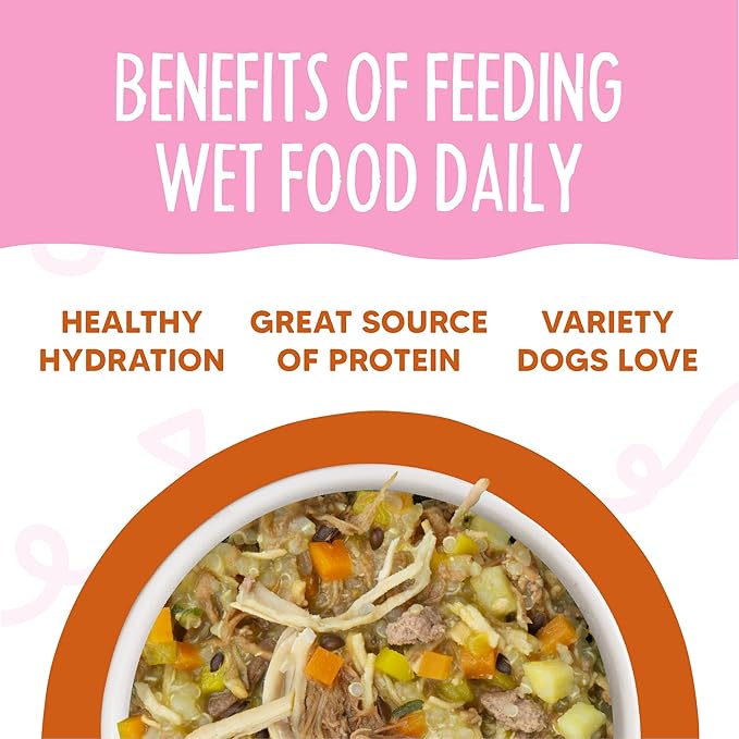 Weruva Meals 'n More Natural Wet Dog Food, Wok The Dog Plus Digestive Support, 3.5oz Cup (Pack of 12)