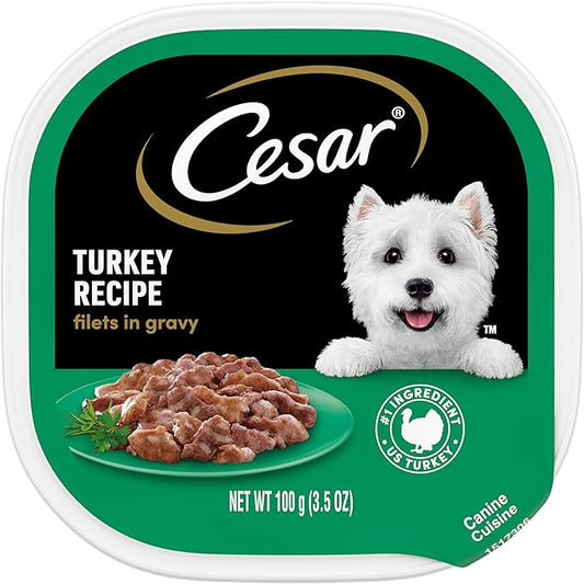 CESAR Filets in Gravy Adult Wet Dog Food, Turkey Recipe, (24) 3.5 oz. Easy Peel Trays