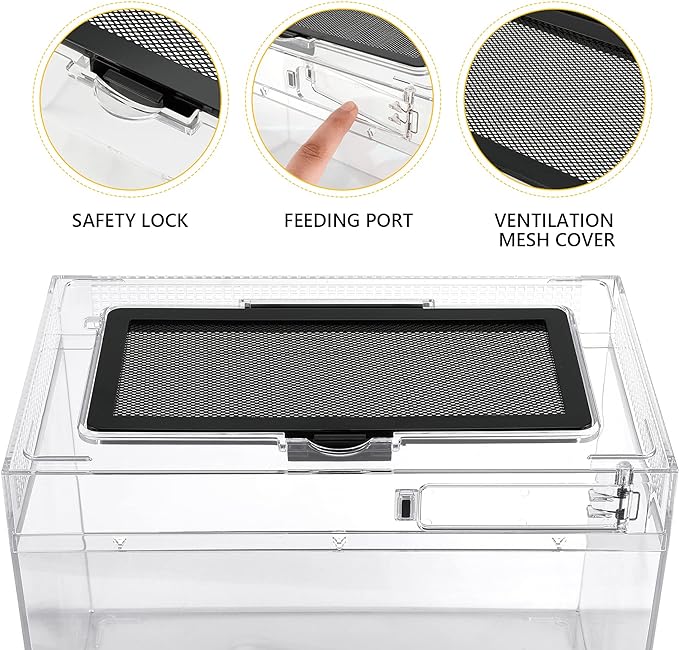 Reptile PC Terrarium, Anti Breakage 15.6x8x10 inch Amphibians Tank Starter Kits, Top Sliding Door Screen Ventilation Mini Habitat Cages, Hygrometer Thermometer, Hide Cave, Tweezer, Sprayer