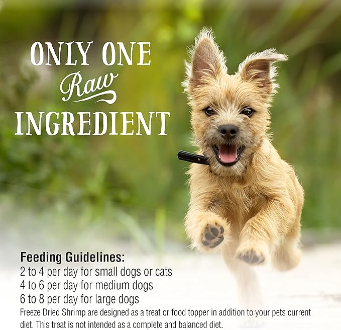 Northwest Naturals Raw Rewards Freeze-Dried Shrimp Treats for Dogs and Cats - Bite-Sized Pieces - Healthy, 1 Ingredient, Human Grade Pet Food, All Natural - 1 Oz (Pack of 3) (Packaging May Vary)