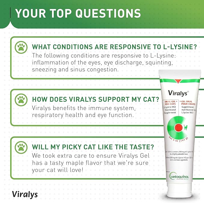 Vetoquinol Viralys Gel L-Lysine Supplement for Cats, 5oz - 2 pack - Cats & Kittens of All Ages - Immune Health - Sneezing, Runny Nose, Squinting, Watery Eyes - Palatable Maple Flavor Lysine Gel