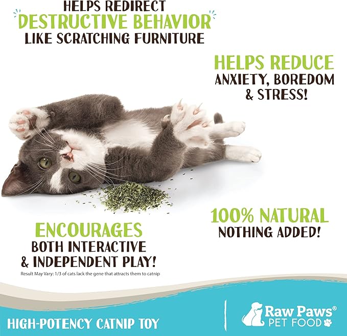 Raw Paws Natural Catnip for Cats, 1-oz - Use for Refillable Catnip Toys for Cats - Catnip Treats for Cats - Catnip for Dogs - Cat Nip Cat Grass - Dog Catnip - Dried Catnip Leaves & Seeds