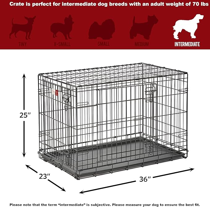 MidWest Homes for Pets Dog Crate Life Stages 36' Double Door Folding Metal Dog Crate | Divider Panel, Floor Protecting Feet, Leak-Proof Dog Pan | 35.63 in x 24.45 in x 21.93 in ,Intermediate Dog Breed