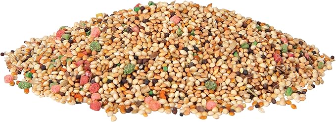 Wild Harvest P-A1907 Wh Daily Blend Parakeet 5No. Bag