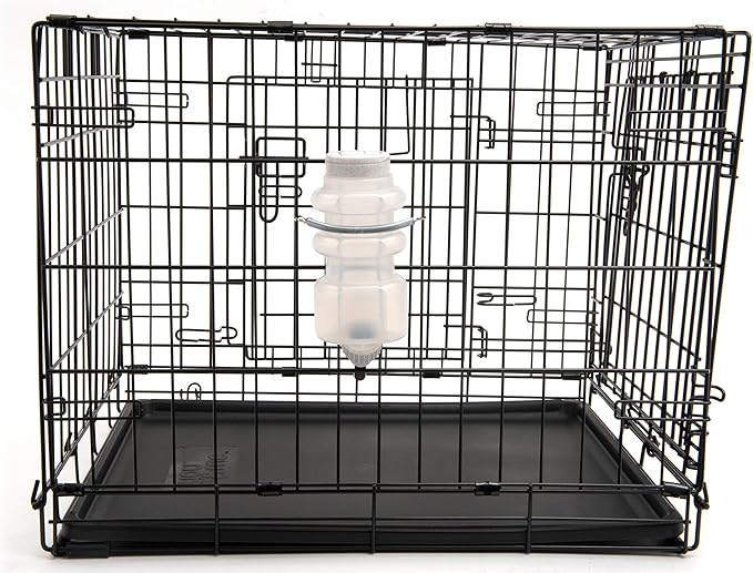 Lixit Top Fill NO-Drip Water Bottles for Dogs. (16 FL Oz (Pack of 1), White)