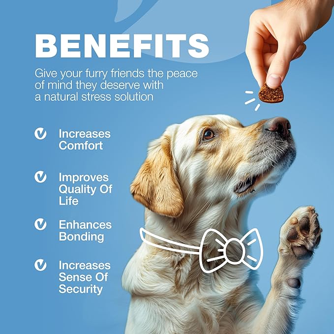 Hemp Сalming Сhews for Dogs Anxiety Relief - Anxiety Relief for Dogs - Dog Calming Chews - Calming Dog Treats for Storms, Separation, Fireworks, Vet Visits, Travel, Grooming - Dog Anxiety Chews