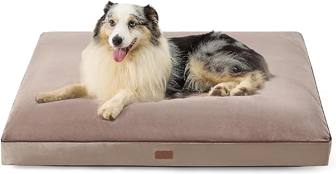 Bedsure Waterproof Dog Beds for Extra Large Dogs - 4 inch Thicken Up to 100lbs XL Dog Bed with Removable Washable Cover, Pet Bed Mat Pillows, Taupe