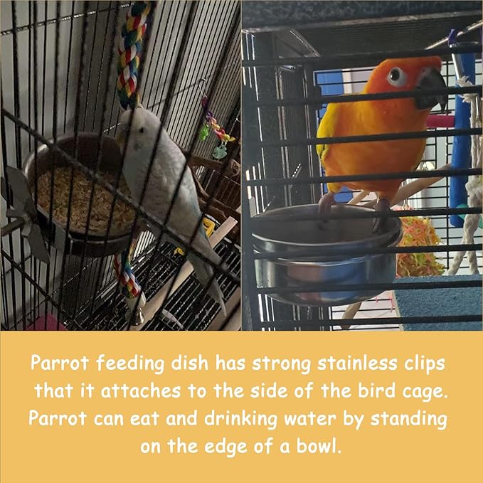 kathson 4 Pcs Stainless Steel Bird Feeding Bowl,Parrot Feeder Dish Cups Birds Cage Water Food Bowls Coop Cup with Clamp Holder for Parrots Cockatiel Budgies Parakeet Lovebird(L)