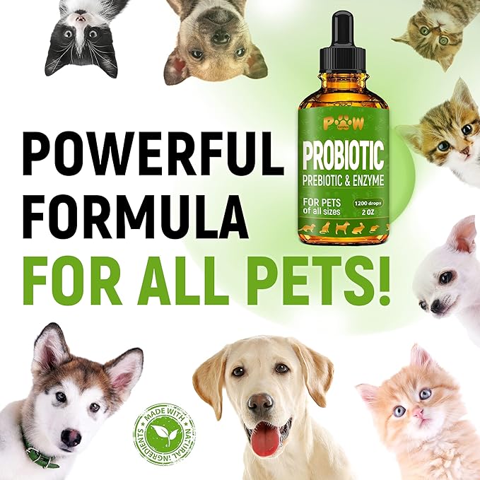 Cat Probiotic | Dog Probiotic | Dog and Cat Digestive Support | Cat & Dog Probiotic Supplements | Probiotic for Cats | Liquid Probiotics for Dogs | 2 Oz