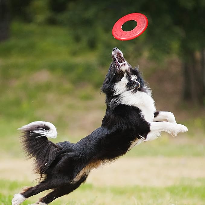 Nerf Dog Atomic Flyer Dog Toy, Flying Disc, Lightweight, Durable and Water Resistant, Great for Beach and Pool, 10 inch diameter, for Medium/Large Breeds, Single Unit, Red, one-size-for-most