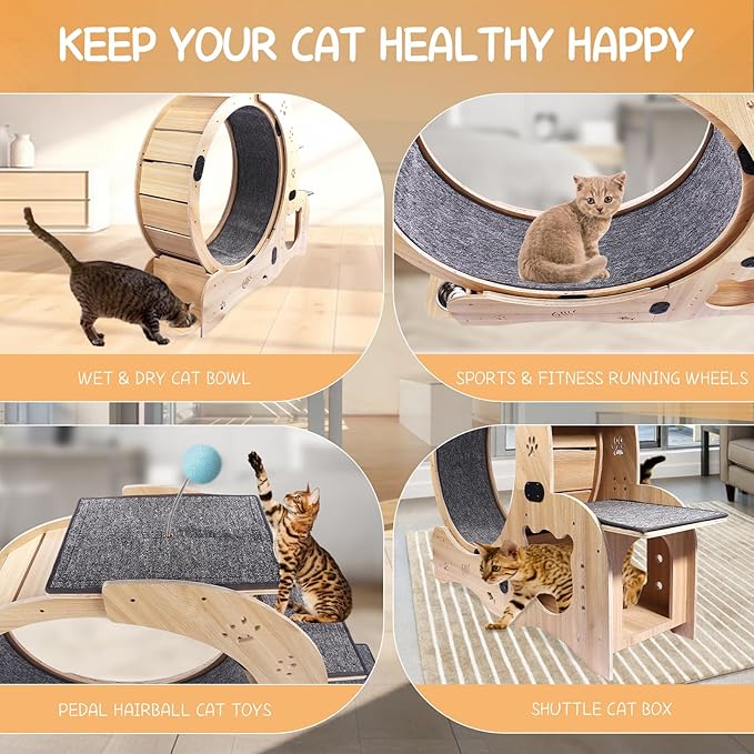 4-in-1 Cat Exercise Wheel, Cat Wheel Wood with Eight TPE Sile, Cat Litter Fitness Wheel for Indoor Cats,Climbing Ladders,Cat Scratching Board,Cat Bowls,Natural Wood