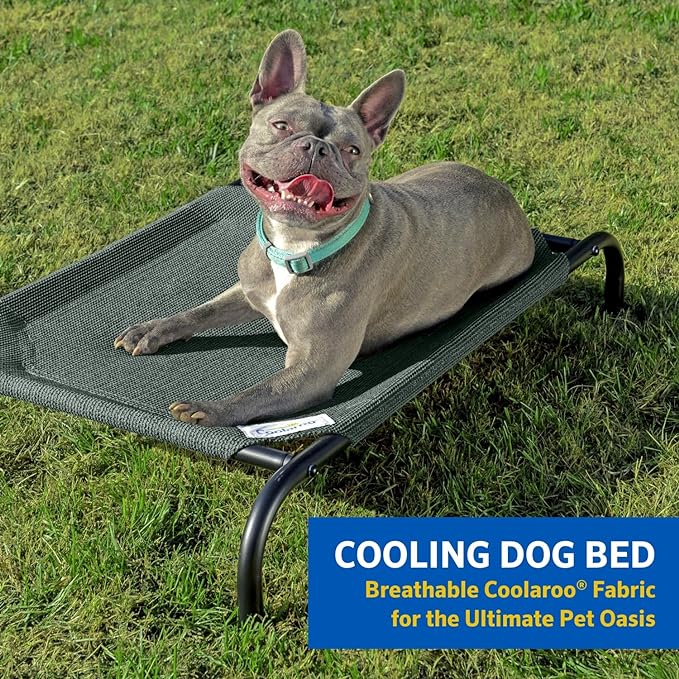 COOLAROO The Original Cooling Elevated Dog Bed, Indoor and Outdoor, Small, Terracotta