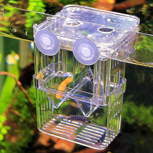 WishLotus Fish Breeding Box, Suspended Breeder Box for Fish Tank with Suction Cups, Multi-Funtional Aquarium Fish Isolation Box Hatchery Incubator for Shrimp Clownfish Betta (S)