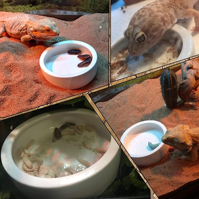 2Pcs Mini Reptile Food Dish Bowls Worm Water Dish Feeder Lizard Gecko Ceramic Pet Bowls with Tongs for Tortoise Lizard Bearded Dragon Frog Leopard Gecko Snake Chameleon(Small, 1.93Inch)