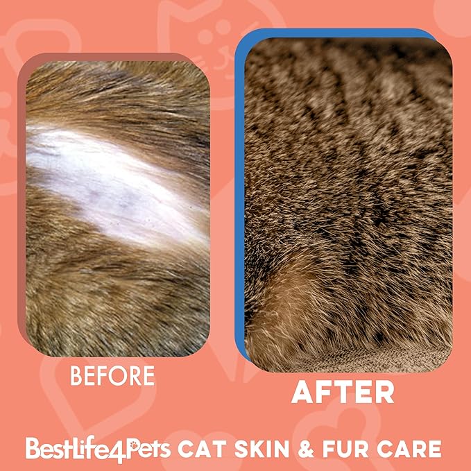 BestLife4Pets All-Natural Healthy Skin and Allergy Relief for Cats - Allergy Medicine for Cats; Cat Allergy Medication; Cat Itchy Skin Treatment - Strengthen Immune System - Easy to Use Pills