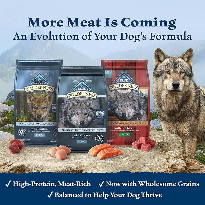 Blue Buffalo Wilderness High Protein Natural Adult Dry Dog Food Plus Wholesome Grains, Salmon 4.5-lb