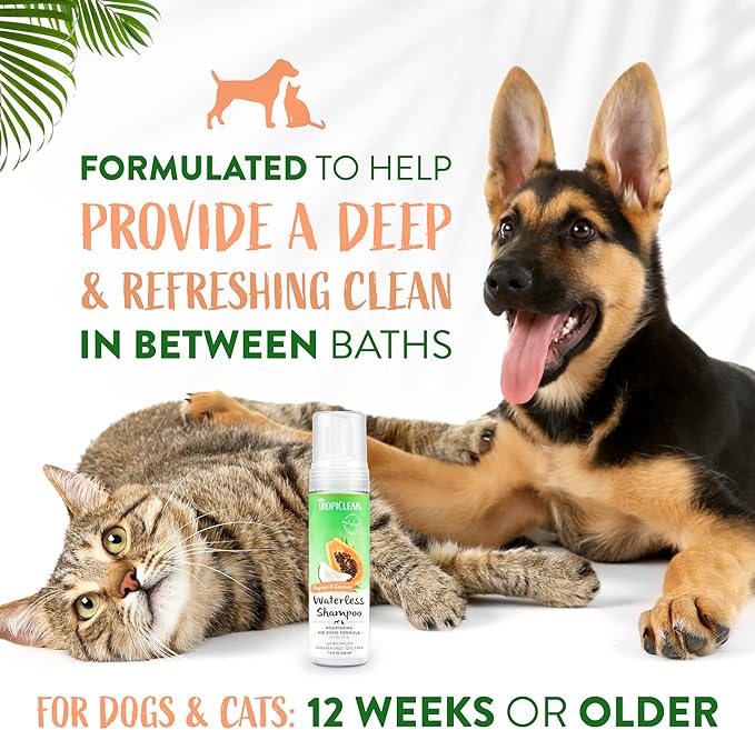 TropiClean Papaya Coconut Waterless Dog Shampoo | Nourishing Dry Shampoo for Dogs | Natural Dog Shampoo Derived from Natural Ingredients | Cat Friendly | Made in The USA | 7.4 oz.