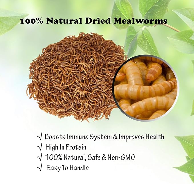 Amzey Dried Mealworms 11 LBS - 100% Natural for Chicken Feed, Bird Food, Fish Food, Turtle Food, Duck Food, Reptile Food, Non-GMO, No Preservatives, High Protein and Nutrition