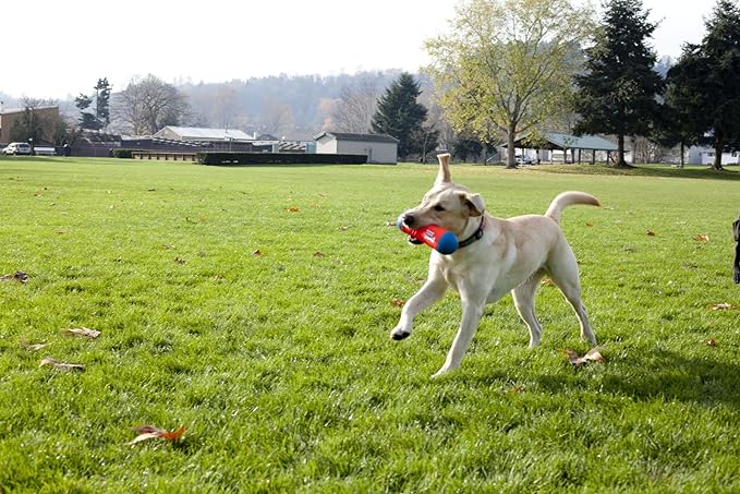 ChuckIt! Tumble Bumper Dog Toy, Medium